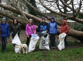 The Plastic Free Sleaford team littering picking in town. EMN-220217-154526001