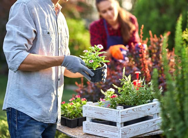Jobs include planting summer bulbs, keeping on top of weeding and keeping slugs and snails at bay