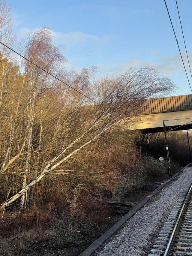 A tree fallen on overhead electric wires near Peterborough on the East Coast Main Line due to Storm Dudley. EMN-220217-164952001