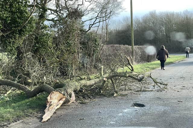 A large branch fallen onto a road near Heckington during the high winds of Storm Eunice. Photo: Melody Shanahan-Kluth EMN-220218-165421001