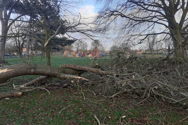 Fallen branches in Boston Road recreation ground. Sleaford Town Council has asked the public to avoid them.