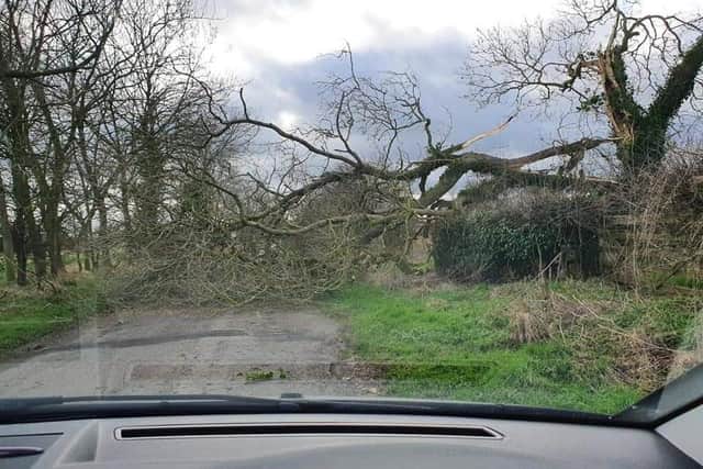 Bev Hawes was on her way to see her daughter when she came across a tree blocking the road at Great Steeping.
