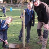 Lydia Littlejohn, 12, and Cameron Hughes, 11, both poetry competition winners, plant one of the last two lime trees for the Avenue of Remembrance at St George's Academy. EMN-220226-115826001