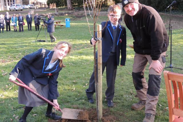 Lydia Littlejohn, 12, and Cameron Hughes, 11, both poetry competition winners, plant one of the last two lime trees for the Avenue of Remembrance at St George's Academy. EMN-220226-115826001