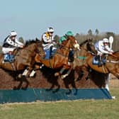 Racing returns of March 5. Photo: Nina Edminson