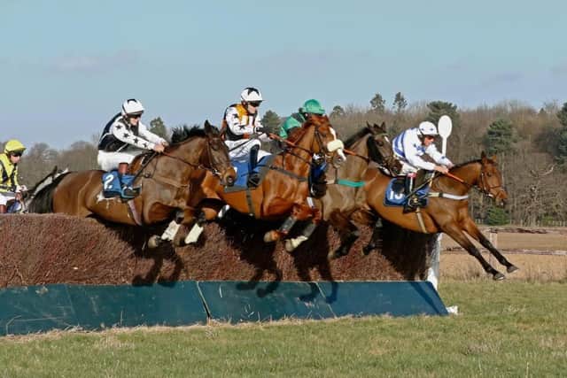 Racing returns of March 5. Photo: Nina Edminson