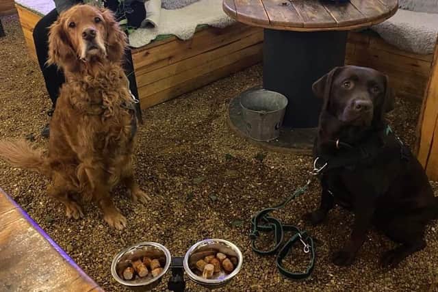 Special doggy dinners are now available for canine visitors to Watergate Yard in Sleaford. EMN-220303-154452001