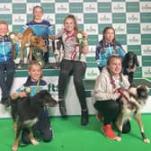 Seth Marsland (centre front) and Sophie Morsy (back, far right) with their junior High Fyers flyball team at Crufts. Images supplied.