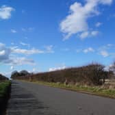Legsby Road with the proposed site behind the hedge on the right of the picture EMN-220314-120748001