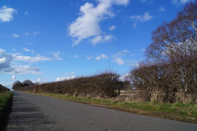 Legsby Road with the proposed site behind the hedge on the right of the picture EMN-220314-120748001