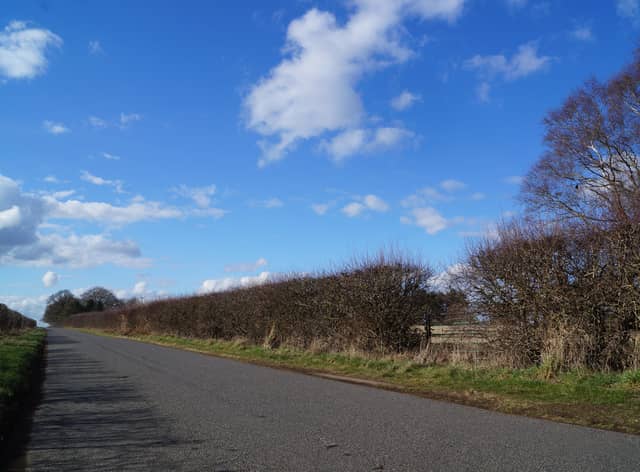 Legsby Road with the proposed site behind the hedge on the right of the picture EMN-220314-120748001