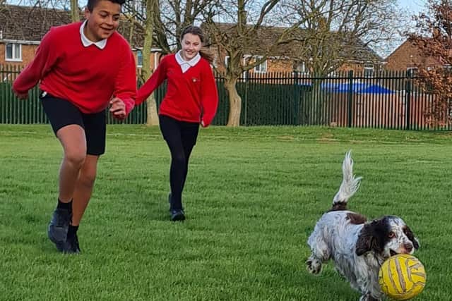 Barney, the Cocker Spaniel, at Hawthorn Tree Primary School.