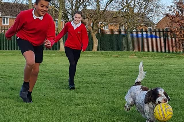 Barney, the Cocker Spaniel, at Hawthorn Tree Primary School.