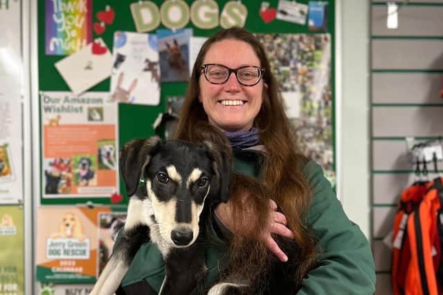 Laura Davies will be shaving off my hair to purchase a travel crate for Jerry Green Dog Rescue. EMN-220321-110603001
