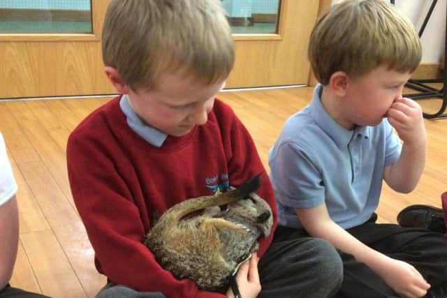 A cuddle with a surprisingly smelly meerkat.