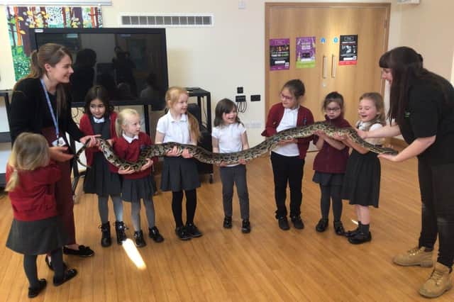 Boston West Academy pupils and staff join together to hold a huge snake.