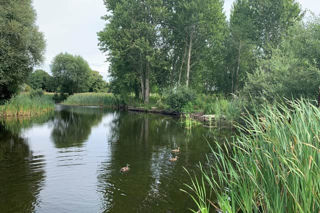 The pond in Lollycocks Field, Sleaford. Photo: NKDC EMN-220318-163218001