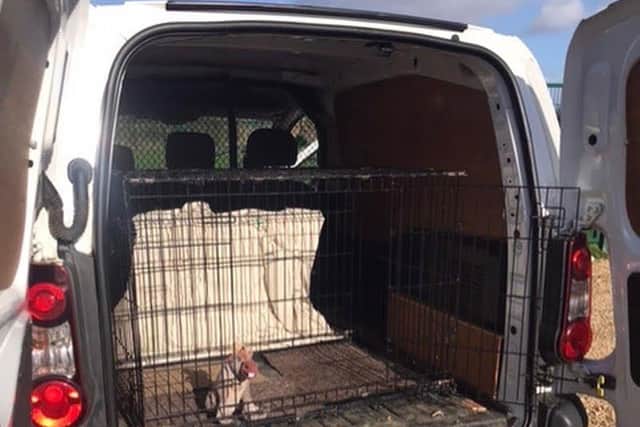 Laura davies will be shaving off my hair to purchase a travel crate for Jerry Green Dog Rescue. EMN-220321-110553001