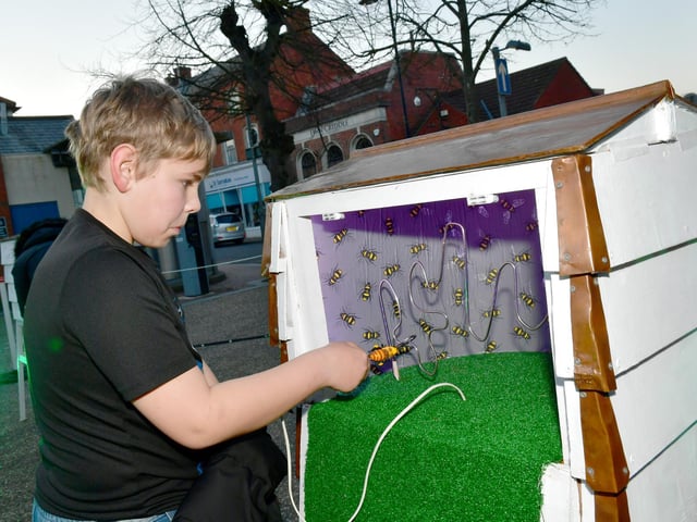 Hive of activity - Joshua Thompson, 11,  of Mablethorpe at The Bees display.