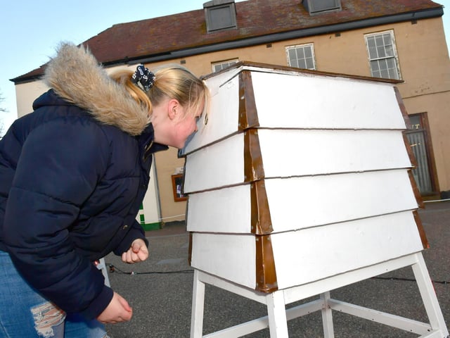 Leah Thompson, 12, of Mablethorpe explores what is inside  one of the bee hives.