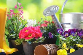 SKDC is inviting people to take up its offer of garden waste collections from their kerbside.