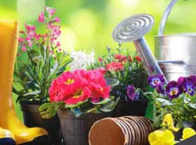 SKDC is inviting people to take up its offer of garden waste collections from their kerbside.