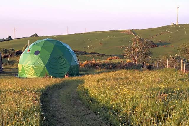 Pant Y Rhedyn site's geodesic domes give a glamping experience with guest access to little pink piglets and fluffy baby lambs.