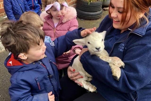 One of four lambs to have recently paid a visit to Mon Ami Nursery, in Swineshead.