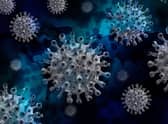 Stock picture of the coronavirus SUS-220331-135920001