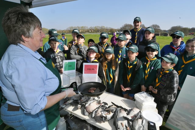 Kids Country Cubs and Scouts event at the East of England Arena. Spalding and Raunds cubs learning how to cook a pigeon with volunteer cook  Elaine Marks. EMN-220328-140237009