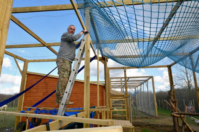 Jamie Mintram working on a new enclosure for two African Caracals.