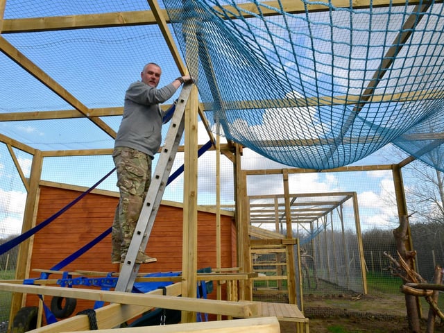 Jamie Mintram working on a new enclosure for two African Caracals.