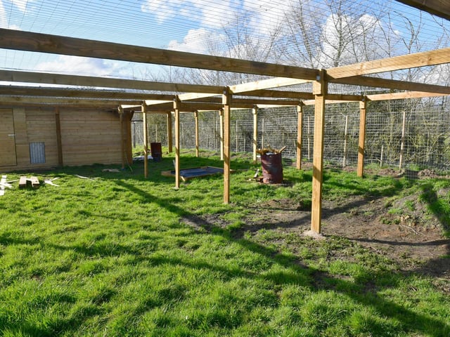 New enclosure at Ark Wildlife Park.