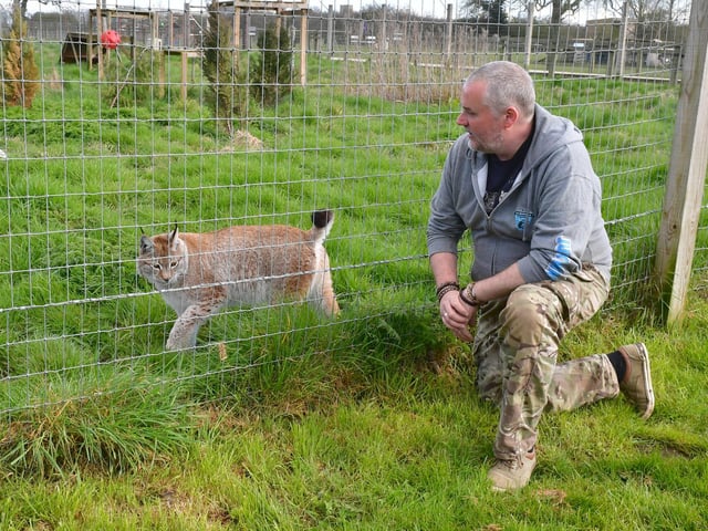 Jamie Mintram with a Eurasian Linx.