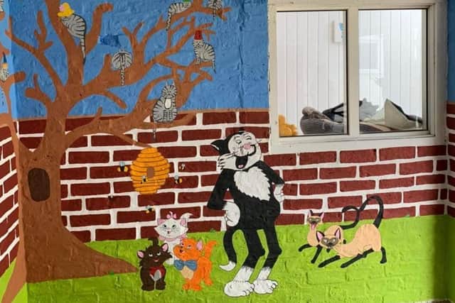 Katie's mural at Just Kats cattery on Wainfleet Bank.