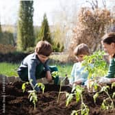 HAF is offering a wide range of holiday activities to schoolchildren. (Image: Adobe Stock)