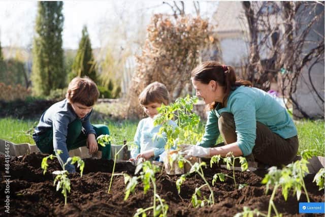 HAF is offering a wide range of holiday activities to schoolchildren. (Image: Adobe Stock)