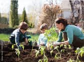 HAF is offering a wide range of holiday activities to schoolchildren. (Image: Adobe Stock)