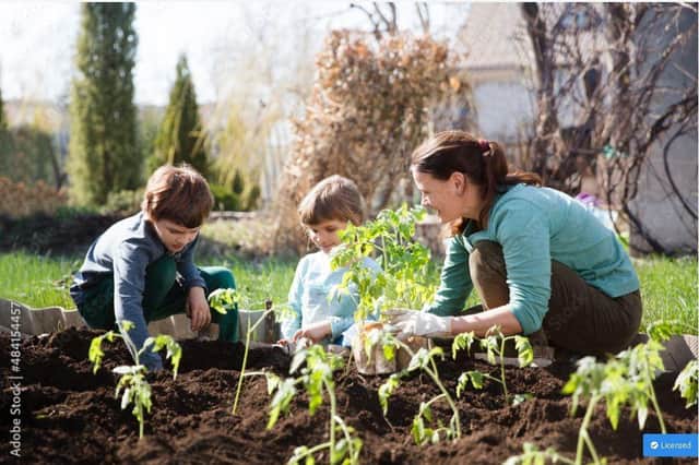 HAF is offering a wide range of holiday activities to schoolchildren. (Image: Adobe Stock)