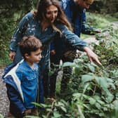 Hedgerows bring communities closer to nature, according to the CPRE Photo: CPRE. EMN-220804-115105001