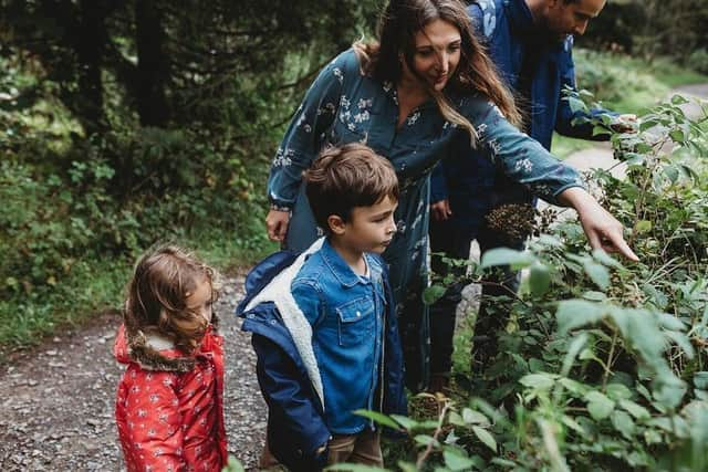 Hedgerows bring communities closer to nature, according to the CPRE Photo: CPRE. EMN-220804-115105001