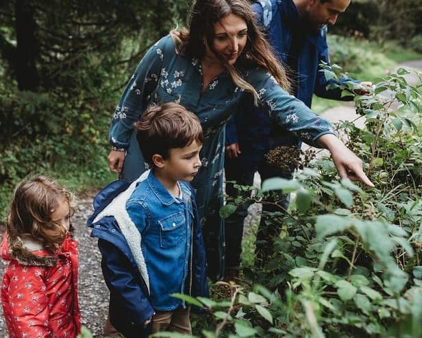 Hedgerows bring communities closer to nature, according to the CPRE Photo: CPRE. EMN-220804-115105001