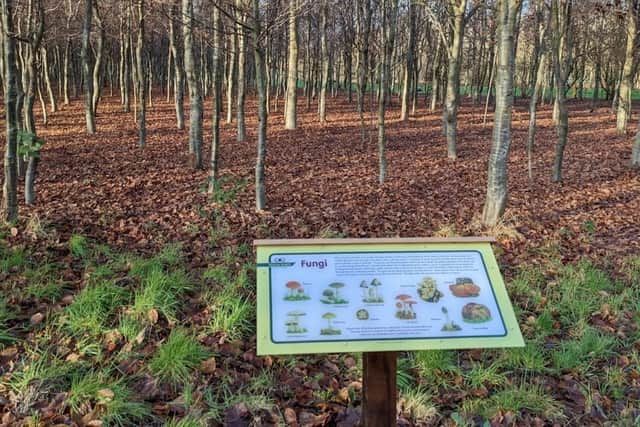 Vandals ripped off all the information boards at Beech Wood in Boston.