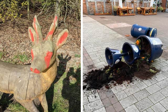 Vandals have targeted Beech Wood and Pescod Square Shopping Centre in Boston.