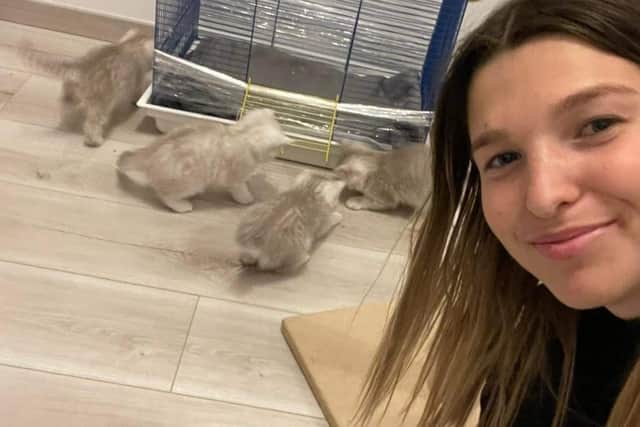 Karina Bocharova with her kittens after arriving safely at her family's home in Spain.