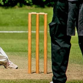 Cricket news