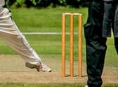 Cricket news.