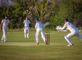 Alford versus Hartsholme. Photo: David Dales
