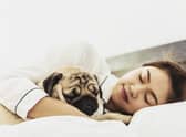 Allowing your dog to sleep in your bed can have health benefits (photo: Adobe)