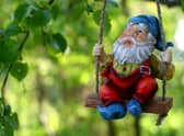 In a new survey of garden trends, garden gnomes were named the most in-demand with moe than 1 million Google searches and nine million TikTok views
